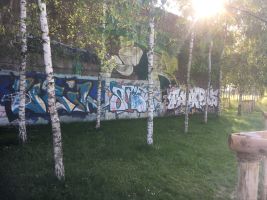 IMG_5398 - Copy.JPG
